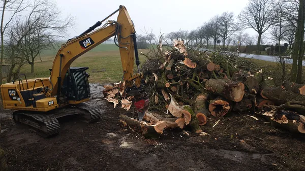Forstbau baumfaellung cat 320