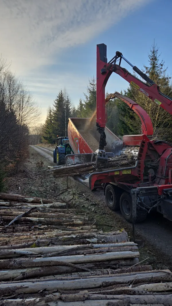 Forstbau baumfaellung holzhacker