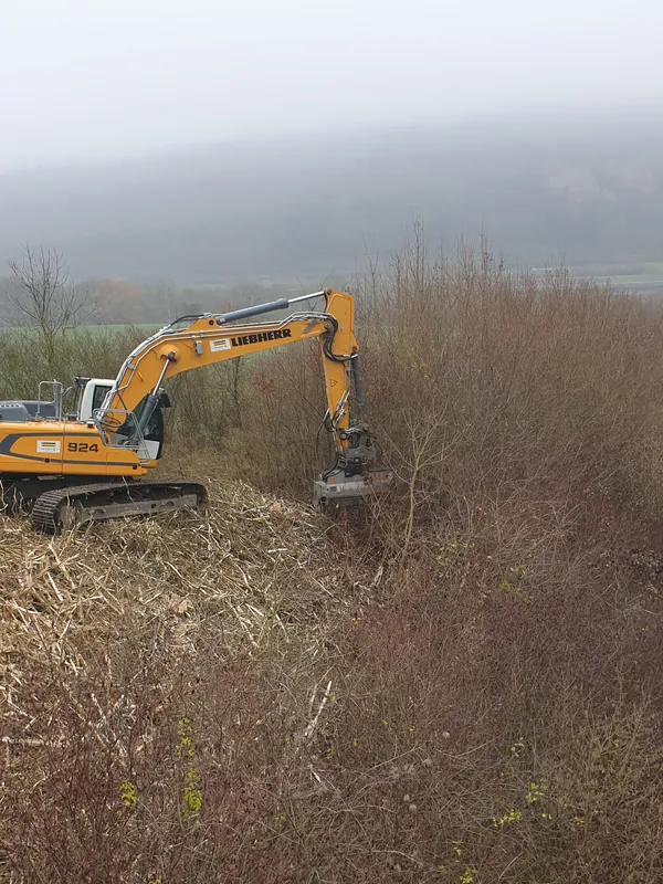 Forstbau baumfaellung liebherr r924