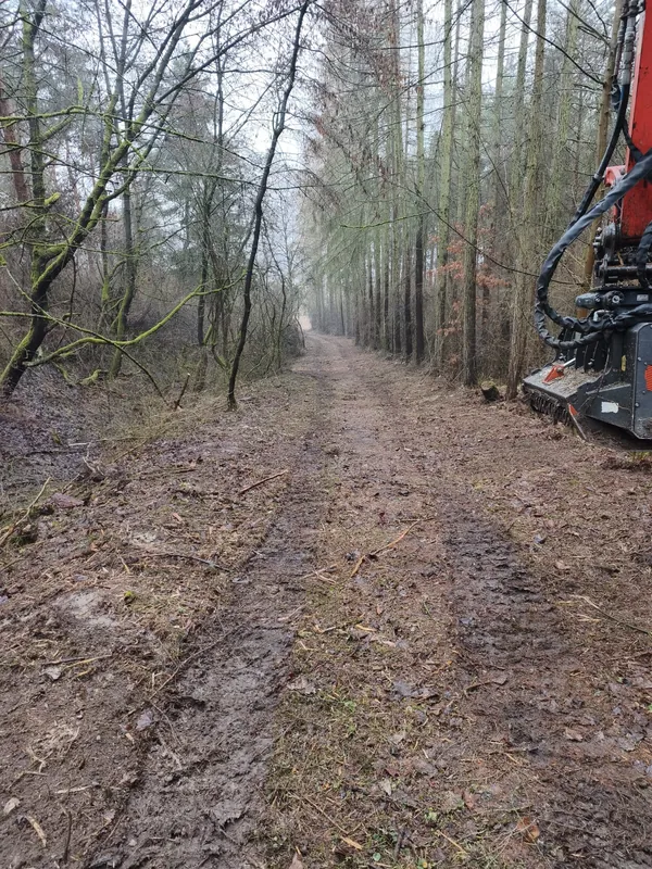 Forstbau waldweg