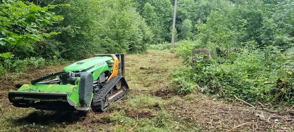 Funkraupe lv600 forstbau leichte rodung ausforstung