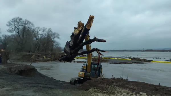 Gewaesserbau baumfaellung cat 320